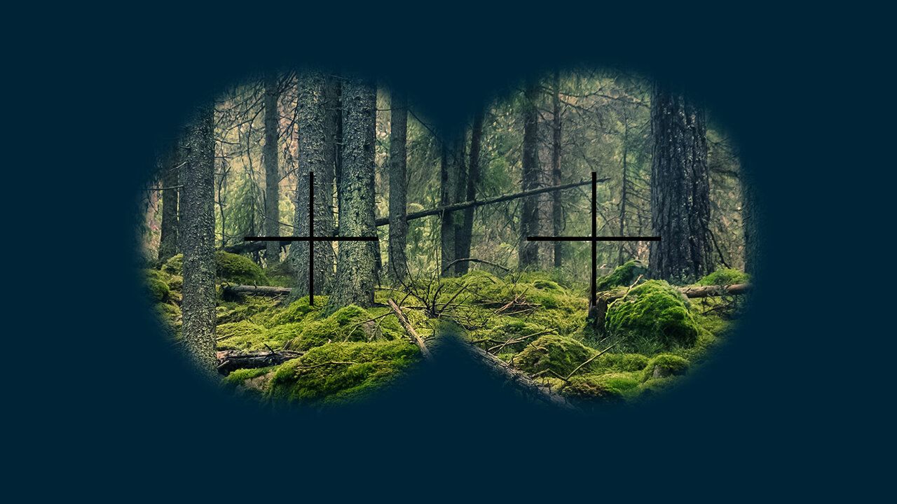 Ein Wald durch Fernglas in animierter Ansicht. 
